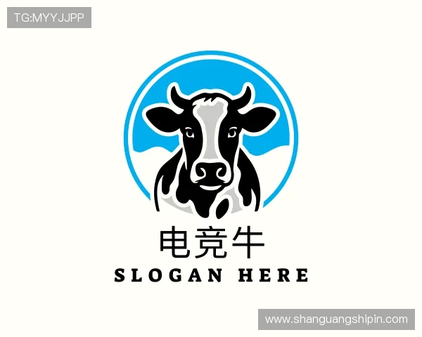 发现赛事数据